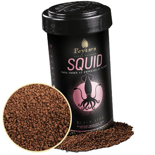 Ilustração Produto SQUID